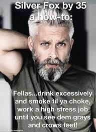 SLPT: Become a Silver Fox by 35: a how-to : r/ShittyLifeProTips