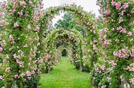 Rosenbogen Selber Bauen Einfache Ideen Zum Nachahmen In 2020 Rosenbogen Kleiner Garten Plane Immergrune Pflanzen