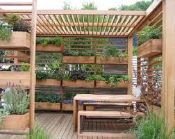 Saya apresiasi usaha masyarakat untuk menyediakan bahan pangan mereka di masa pandemi ini, minimal tidak ke pasar beli sayuran. 5 Cara Mudah Memanfaatkan Lahan Rumah Yang Sempit Untuk Berkebun Rumah Petani