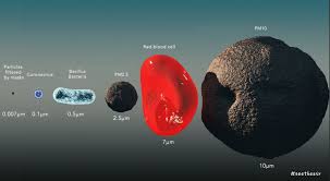 Get full coverage of the coronavirus pandemic including the latest news, analysis, advice and explainers from across the uk and around the world. How Large Is A Corona Virus Virion Compared To The Mp10 2 5 Abcdust