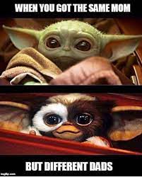 Baby Yoda And Gizmo 9gag