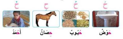 كلمات بحرف الحاء تعلم واكتسب food animals dog food recipes pets