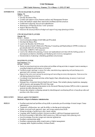 Check out the free resume templates word that look like photoshop designs. Master Planner Resume Samples Velvet Jobs