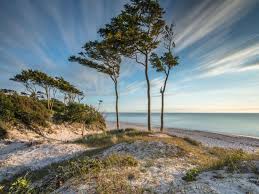 pin auf mecklenburg vorpommern urlaub mit hund