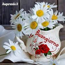 Maybe you would like to learn more about one of these? Le Migliori Immagini Del Buongiorno Per Whatsapp E Facebook Buongiorno Buongiorno Immagini Auguri Di Buongiorno