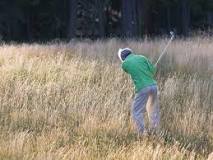 Image result for what is a good handicap in golf for a woman