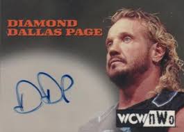 Diamond Dallas Page Gallery