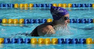 Sharks devour Sea Otters