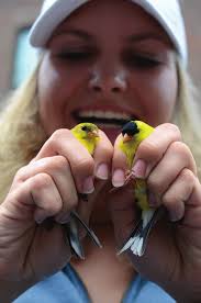 In this issue: FALL '19