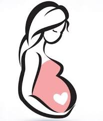 Práve ste sa prehupli do 8. Tehotenstvi Tyden Po Tydnu 8 Tyden Modry Konik