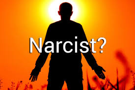 Narcist synonyms, narcist pronunciation, narcist translation, english dictionary definition of narcist. Narcisme Wat Is Het Hoe Herken Je Een Narcist En Wat Zijn De Tekenen Gratis Dating Tips