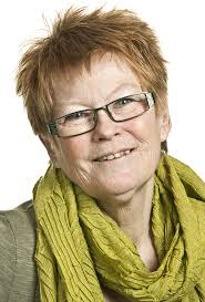 Verksamheten 2011–2013