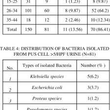 Urine Report Says Occasional Puss Cells - I Have Been Having | Practo  Consult