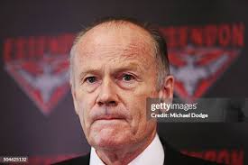 90 Tanner Watson Stock Photos, High-Res Pictures, and Images