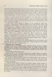 Image result for Amauropelta bergiana