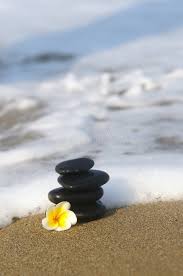 Over 15,499 christmas beach pictures to choose from, with no signup needed. Flower On The Beach Stock Image Image Of Gerbera Flowers 1114225