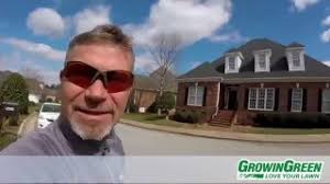 Crape Myrtle Pruning