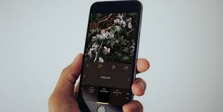 تحميل تطبيق Rni Films لتحرير وتعديل الصور للايفون Photo Apps Iphone Iphone Photos