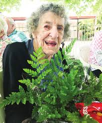 Anna's been busy A cuppa with Adrian Gorgeous gardens