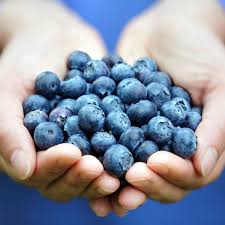 Over 182,346 blueberries pictures to choose from, with no signup needed. 9 Benefits Of Blueberries For Health And Beauty