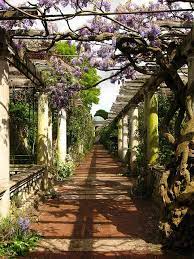 The Pergola Hampstead Heath By Laura Nolte On Flickr Hampstead Heath London Places London Park