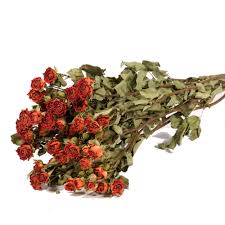 Because glycerin is shiny, the preserved leaves look more natural. Atlas Flowers Dried Spray Roses Natural Orange Bunch