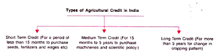 The project is located in a 2 acre farm in makuyu, kiambu county. Notes On Agricultural Finance And Marketing