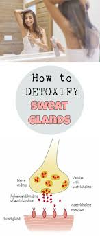 Apocrine sweat glands are mainly found in the armpits and perianal area, and secrete a more viscous, odorous product. How To Detoxify Your Sweat Glands Health And Beauty Sweat Gland Detoxify