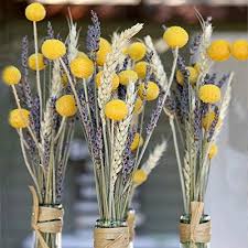 Beautiful billy ball flowers are perfect for bouquets, corsages or wreaths! Huaesin 30pcs Natural Dried Flowers Craspedia Billy Balls Flowers Dried Billy Buttons Floral Bouquet For Arrangements Wedding Home Tall Vase Decor Yellow Pricepulse