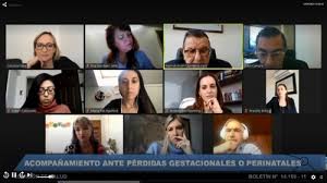 Sin embargo, la semana pasada el senado rechazó los cambios al proyecto de ley dominga. Muerte Gestacional Y Deshumanizacion Ley Dominga Busca Revertir Esta Realidad Senado Republica De Chile