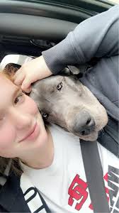 This little boxer baby is joining our family very soon, And everything i  didn't know about for our 1st dog as a puppy i do know now.…….he loves  enrichment toys etc wish