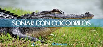 Apr 23, 2021 · soñar con cocodrilos en agua sucia. Https Xn Significadosoarcon Z0b Com Cocodrilos