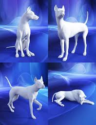 Great Dog Poses For Daz Dog 8 3d Models And 3d Software By Daz 3d Dog Poses Dog Modeling Action Poses