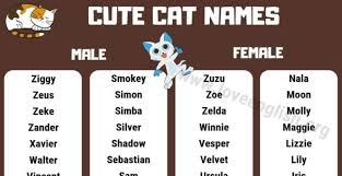 Cats can live up to 16 years and sometimes longer. Cat Names Top 160 Most Popular And Cute Kitten Names Love English