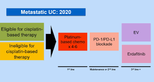 However, it is also associated with a number of benign medical problems such as urinary tract infection, kidney/bladder stones, and benign tumors, and does not mean a person has bladder cancer. Emuc 2020 Optimal First Line Therapy In Metastatic Bladder Cancer Disease