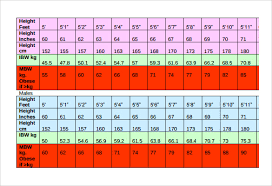 sample ideal weight chart 7 free documents download in pdf