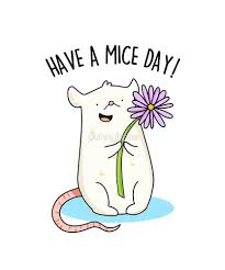 Have A Mice Day Animal Pun By Punnybone Redbubble Cute Puns Cheesy Puns Cheesy Jokes