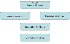 Organizational Chart American Association Of Medical