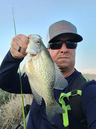 Mixed bag of fish caught