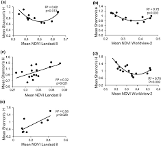 Image result for Warneckea sansibarica