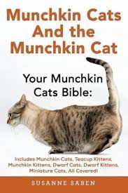 Check spelling or type a new query. Munchkin Cats And The Munchkin Cat Your Munchkin Cats Bible Includes Munchkin Von Susanne Saben Englisches Buch Bucher De