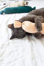 ev yapimi kedi yatak ve oyuncaklari dubleks ev planlari kedi oyuncak hayvan projeleri