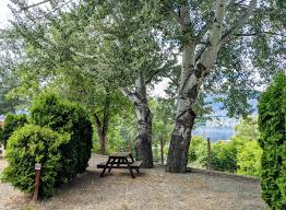 If you want to have a pleasant time together, follow the next tips so your better half will be. Rv Camping Destination Osoyoos