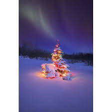Christmas Tree Glowing Under The Northern Lights Canvas Art Carson Ganci Design Pics 22 X 34 Christmas Scenes Outdoor Christmas Vintage Christmas
