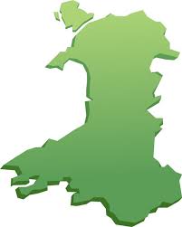 Decimal code point (s) 127988, 917607, 917602, 917623, 917612, 917619, 917631. You Can Finally Get The Welsh Flag Emoji And All These Other Welsh Emojis Wales Online
