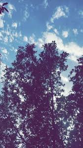 صور منوعة صور جميلة متنوعة أجمل الصور المنوعة Pictures Airplane View Outdoor