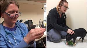 What's more is that texas avian & exotic hospital is part of a much. Five Portland Vet Services You Need To Know Portland Monthly