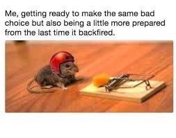 Animals Can Express Our Current Mood In The Most Accurate Way Funny Animal Memes Funny Pictures Funny