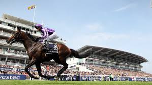 Odds, analysis and picks for 2022. 2012 How Horse Racing Became Cool Cnn