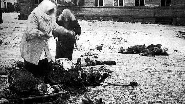 La trágica historia de Nikolái Vavílov, el botánico soviético que quiso  alimentar al mundo y murió de inanición - La Tercera